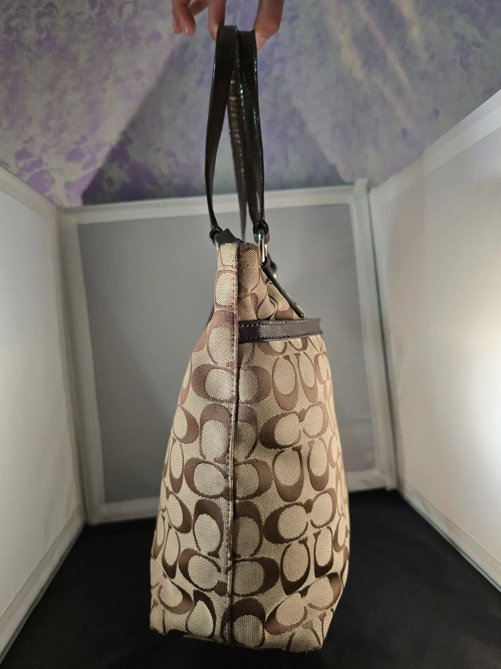 Coach Signature Canvas Tote Bag in Brown